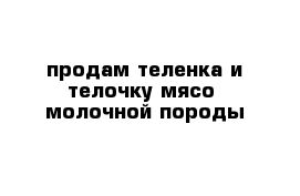 продам теленка и телочку мясо -молочной породы